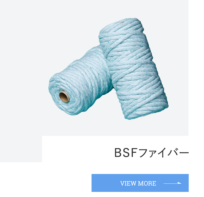 BSFファイバー　VIEW MORE